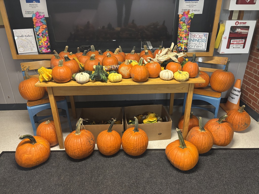 pumpkins on display