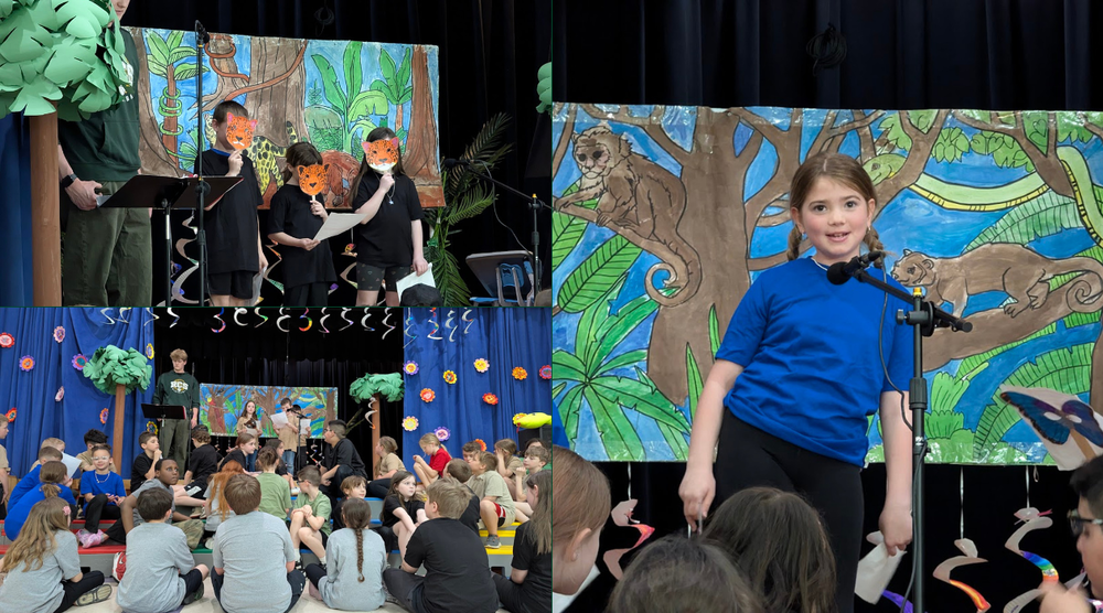 A Rumpus in the Rainforest: 3rd Graders Bring the Amazon to Life at A.W. Becker