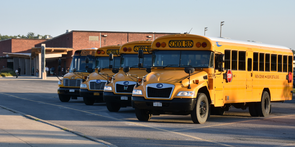 Image of RCS Busses