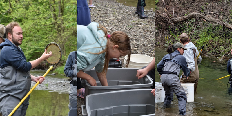 5th Grade Students Release Trout into Local Waters