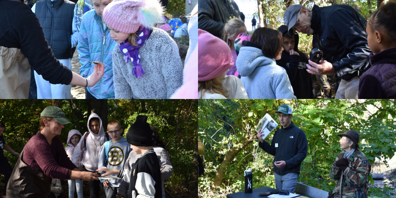 Collage of students studying elements of the Hudson River
