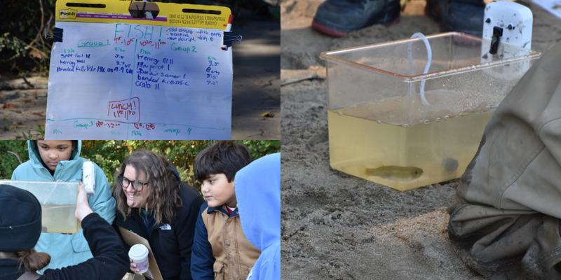 Collage of students studying elements of the Hudson River