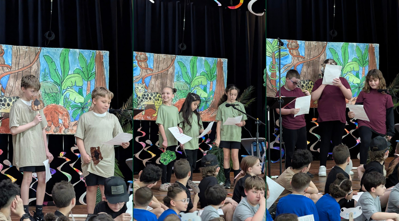 A Rumpus in the Rainforest: 3rd Graders Bring the Amazon to Life at A.W. Becker