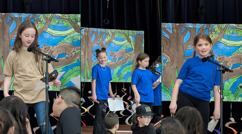 A Rumpus in the Rainforest: 3rd Graders Bring the Amazon to Life at A.W. Becker