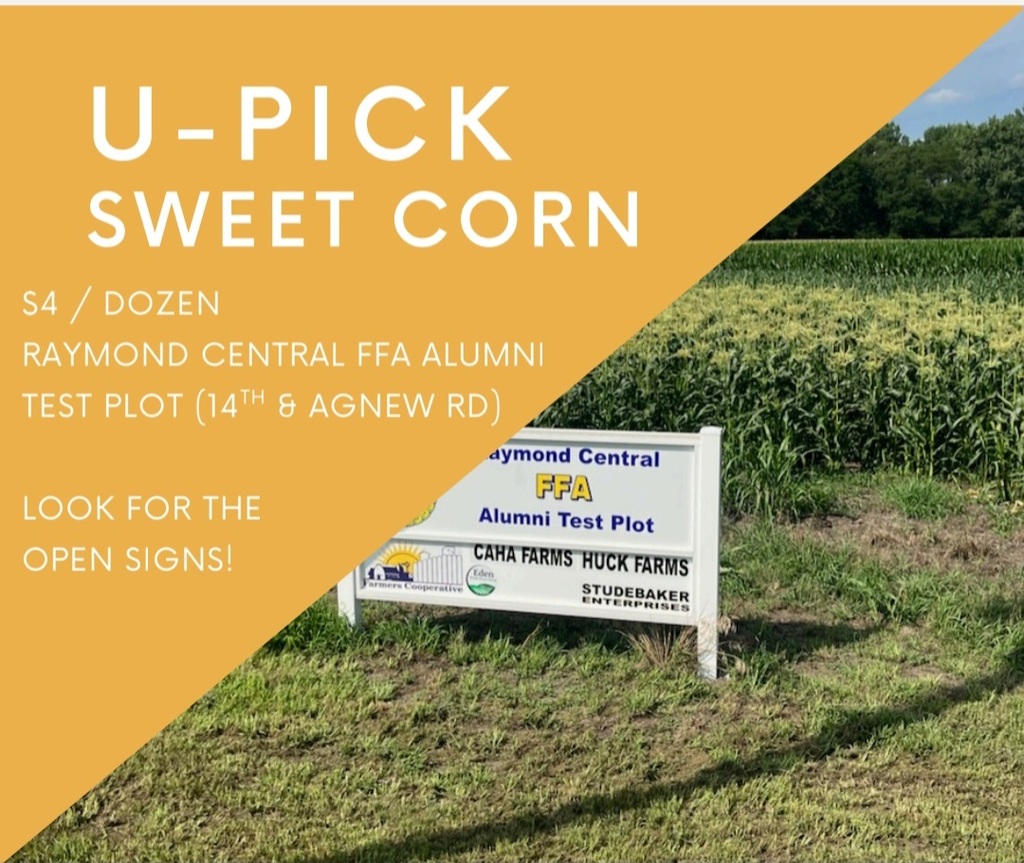 u-pick corn