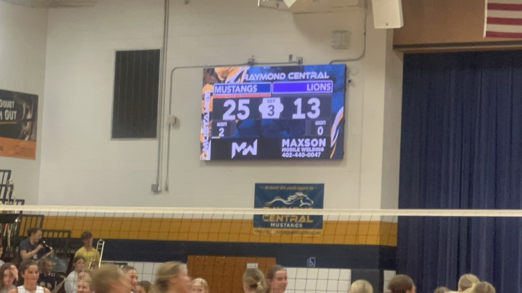 Volleyball Action