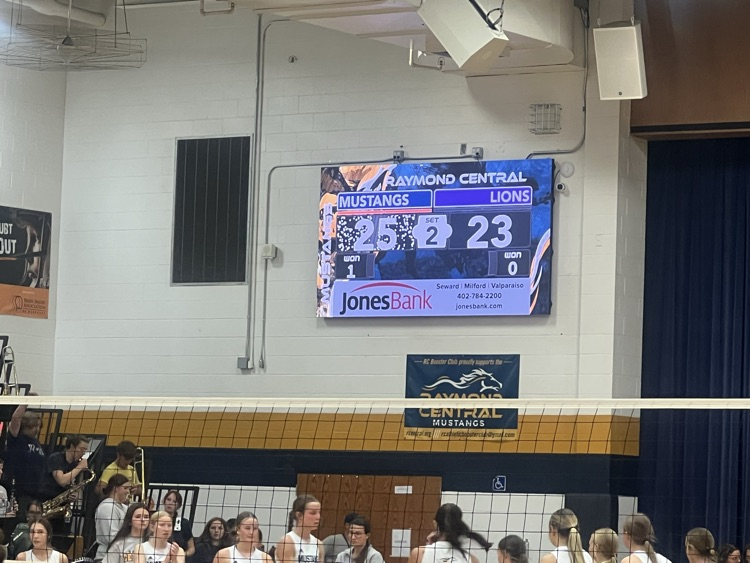 Volleyball Action
