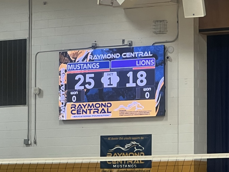 Volleyball Action