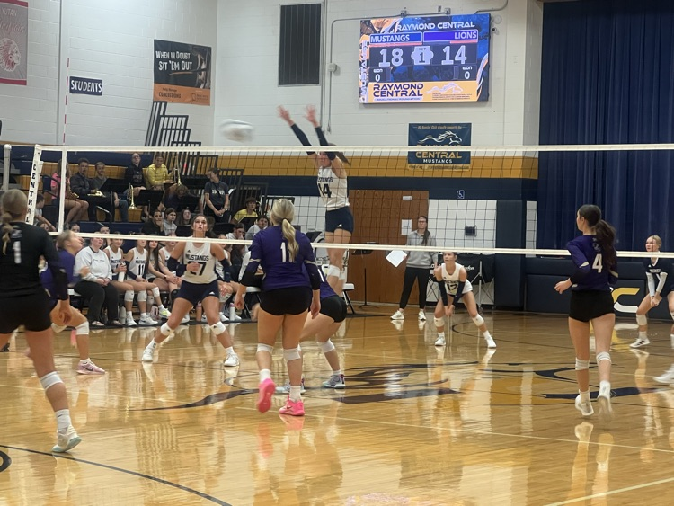Volleyball Action
