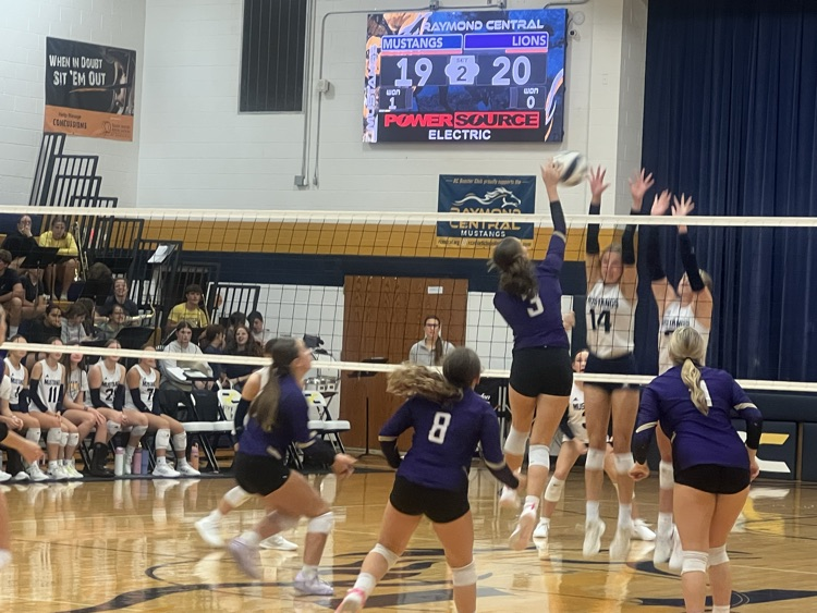 Volleyball Action