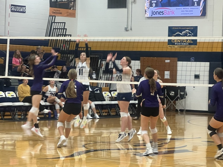 Volleyball Action