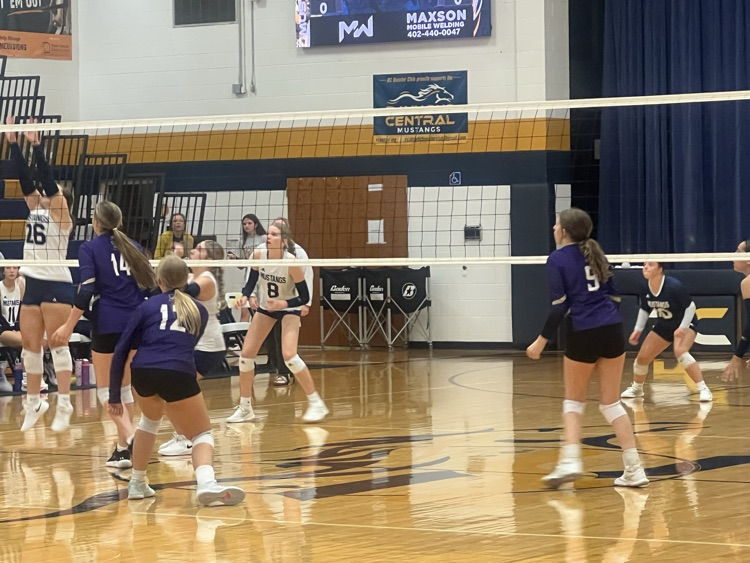 Volleyball Action