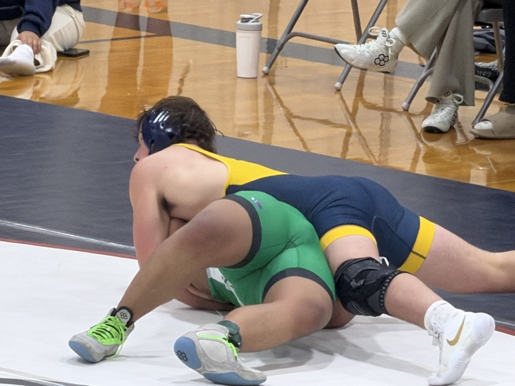 Mustangs at Norris Triangular