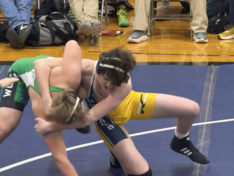 Mustangs at Norris Triangular