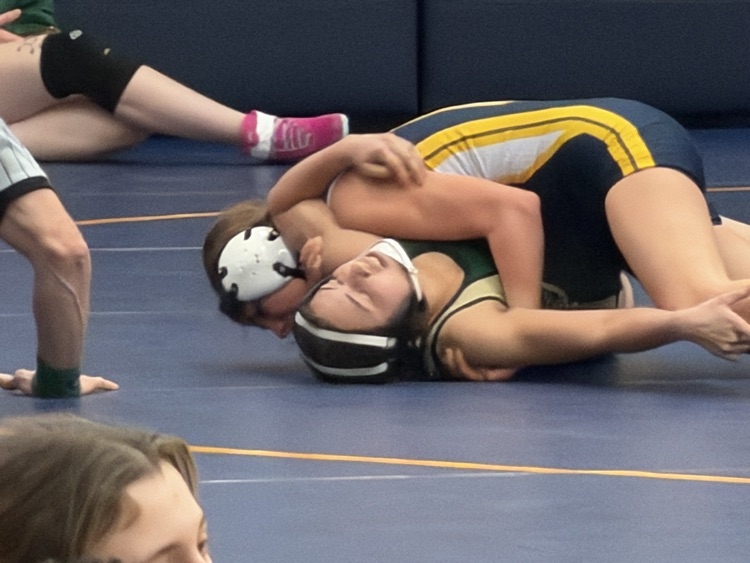 January 30 girls Varsity and Boys JV Wrestling Invite