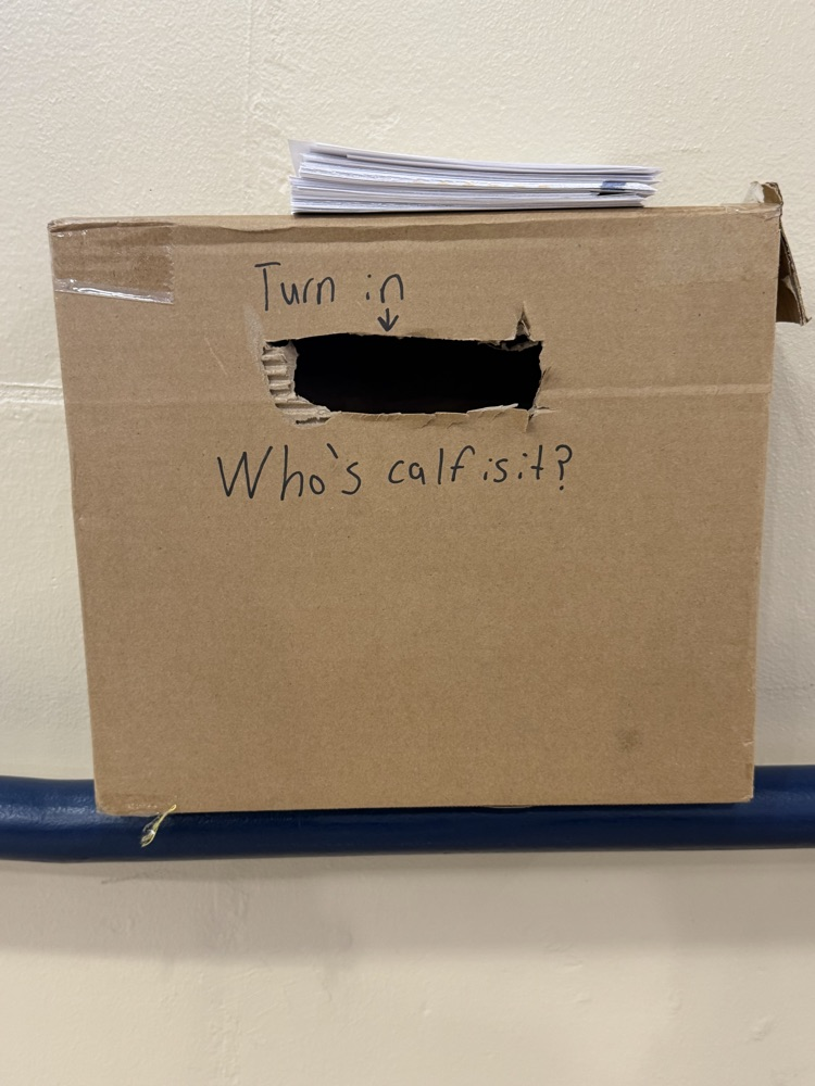 FFA Calf Guessing Contest