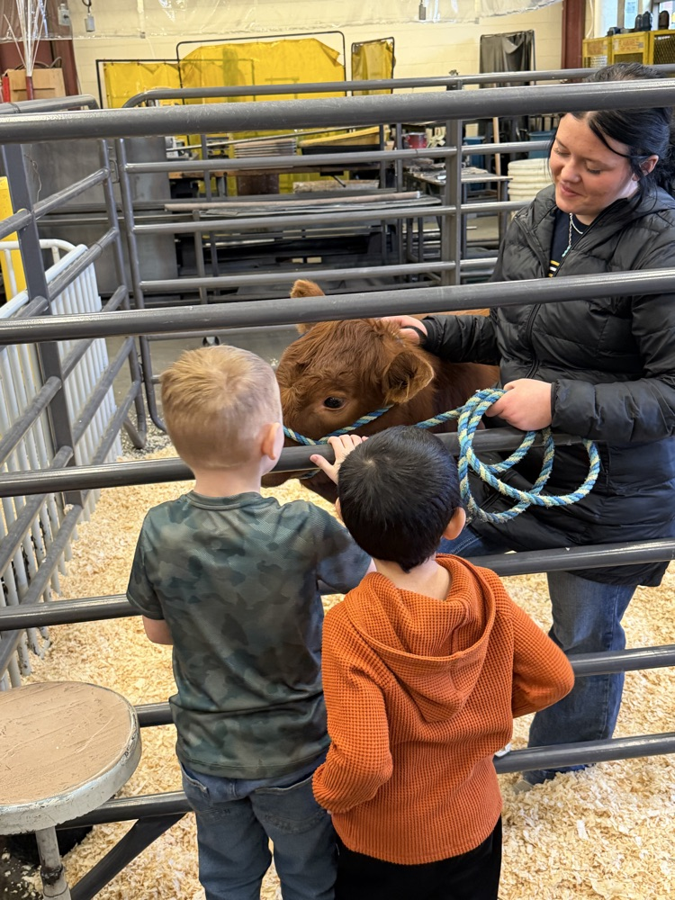 FFA Week and the Petting Zoo Experience 