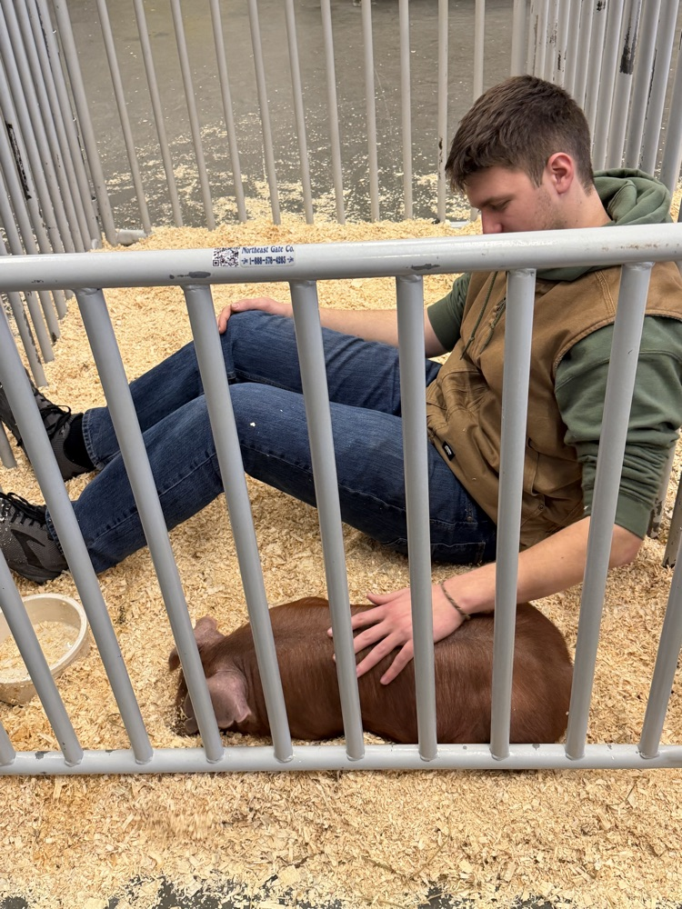 FFA Week and the Petting Zoo Experience 