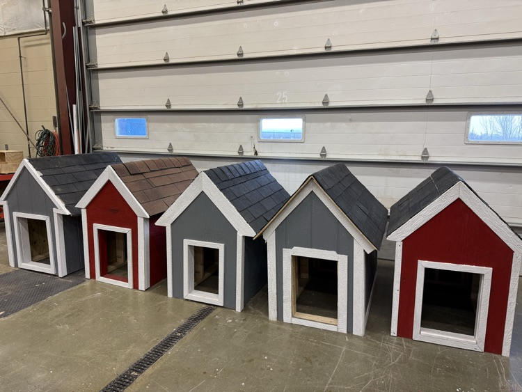 front of dog houses