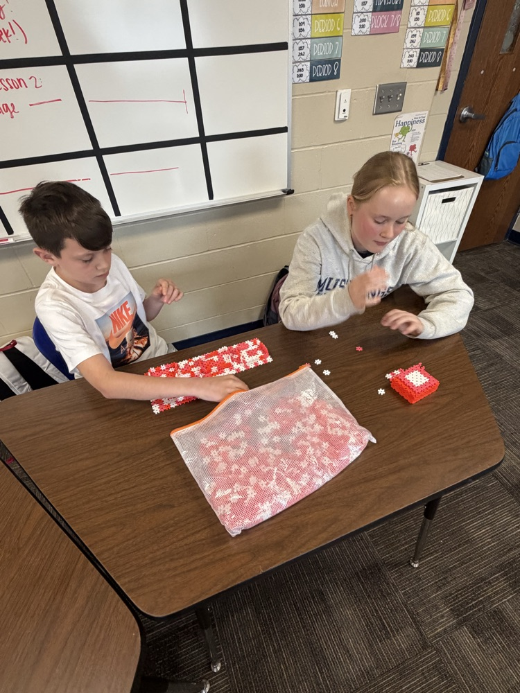 MS STEM and Design Qualities