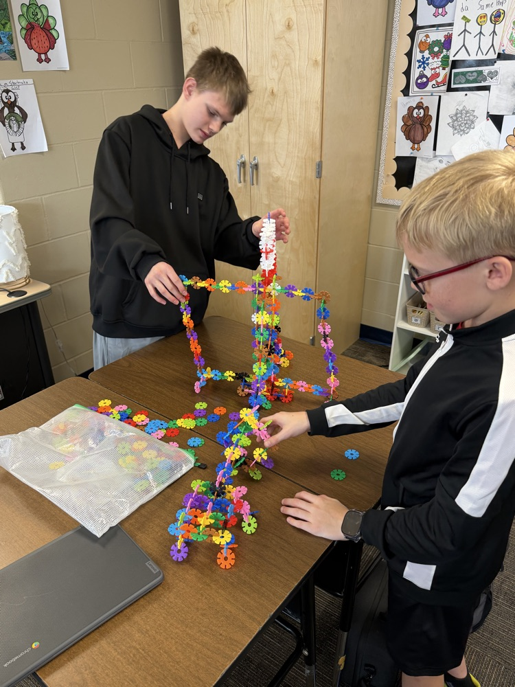 MS STEM and Design Qualities