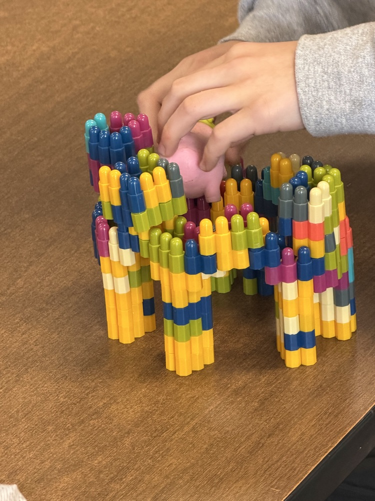 MS STEM and Design Qualities