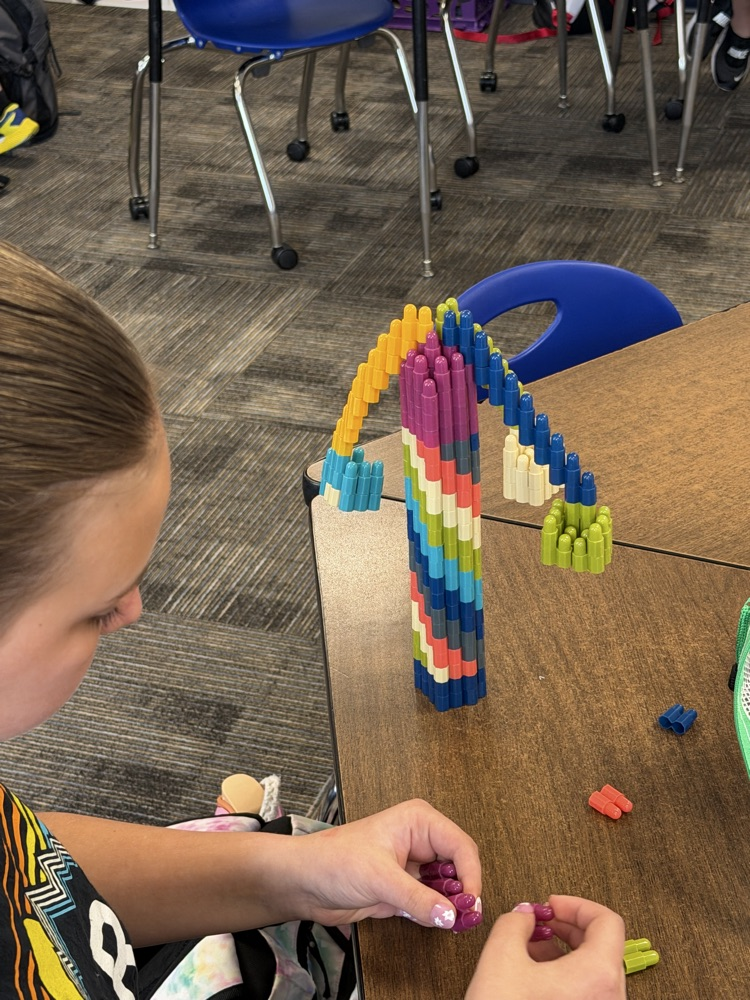 MS STEM and Design Qualities