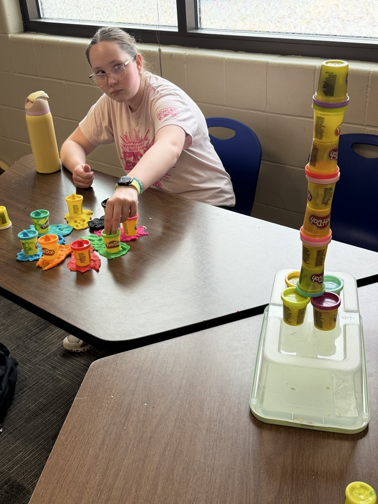 MS STEM and Design Qualities