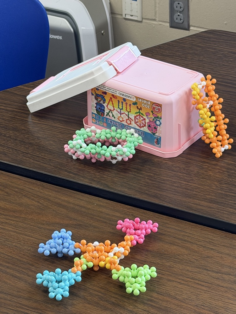 MS STEM and Design Qualities