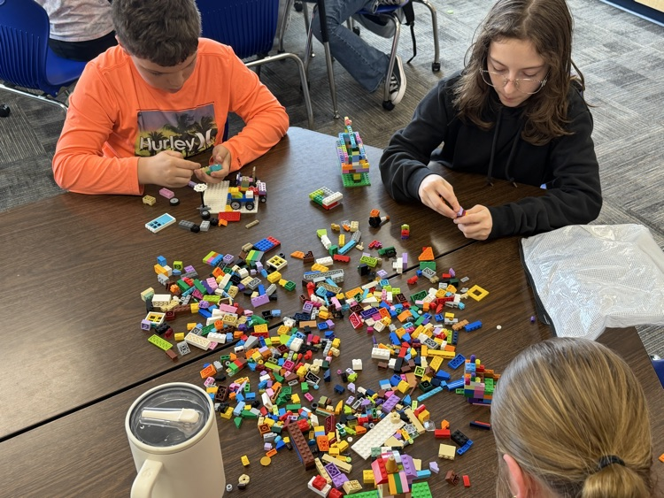 MS STEM and Design Qualities