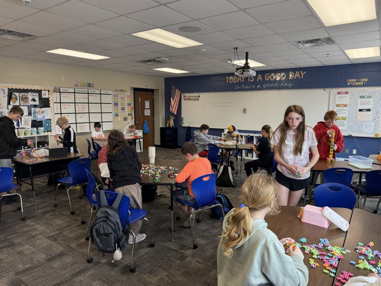 MS STEM and Design Qualities