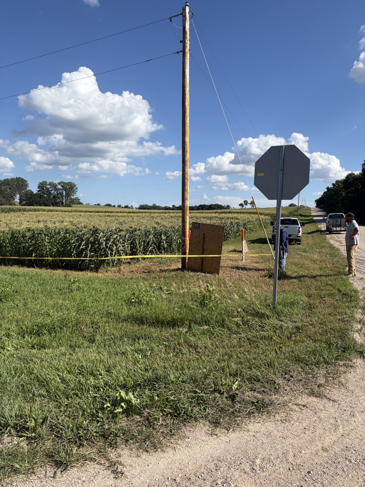 corn