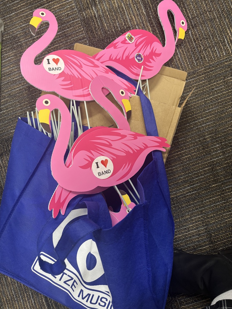 flamingos