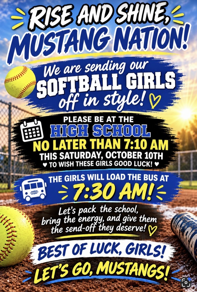softball poster for district finals