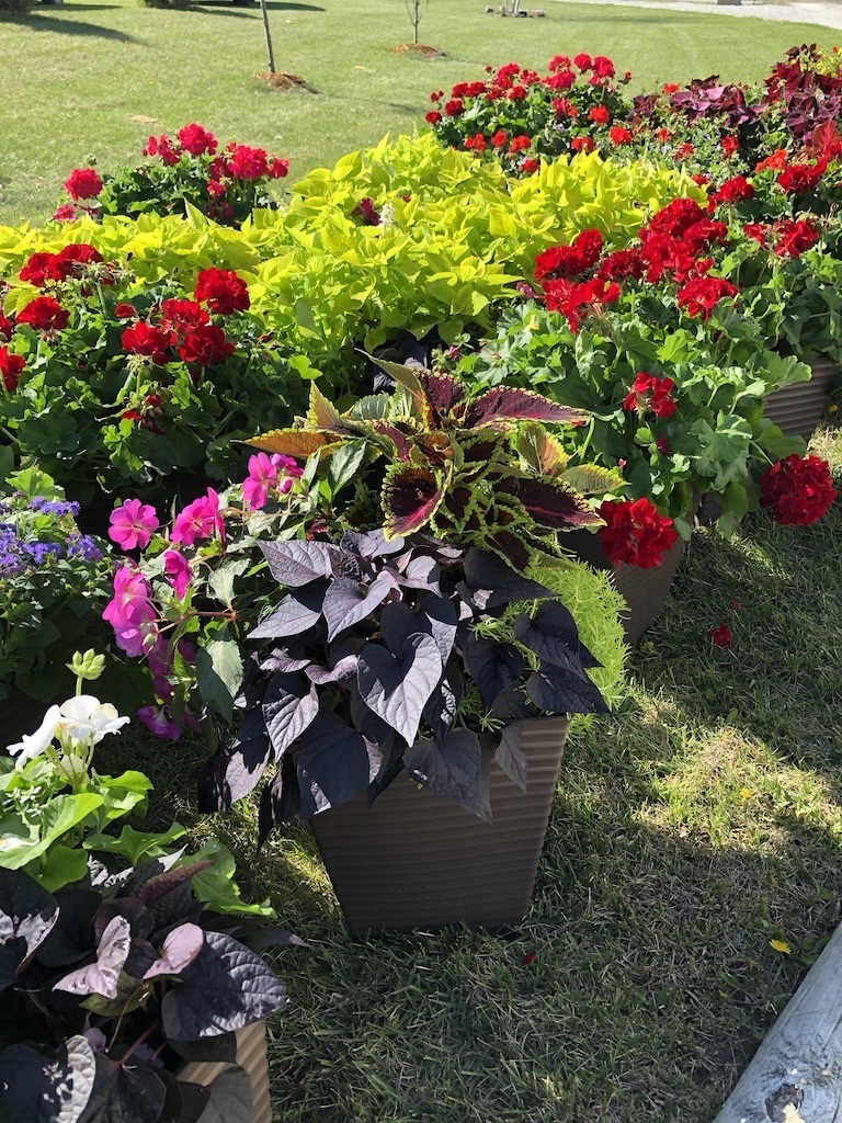Planter
