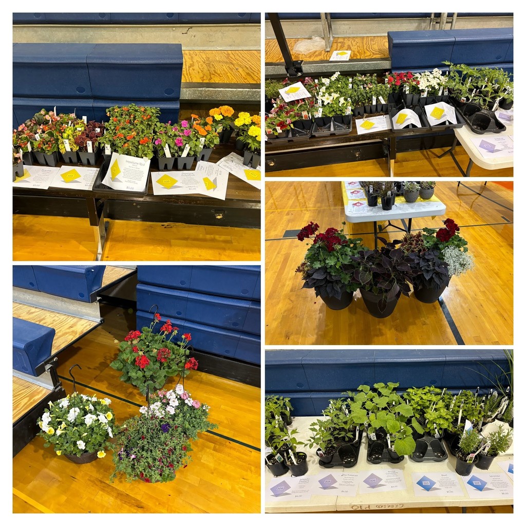 Plants 1