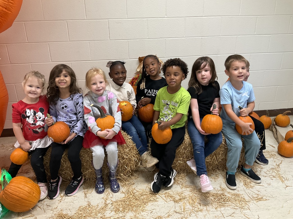 Barbarick Pumpkin Patch