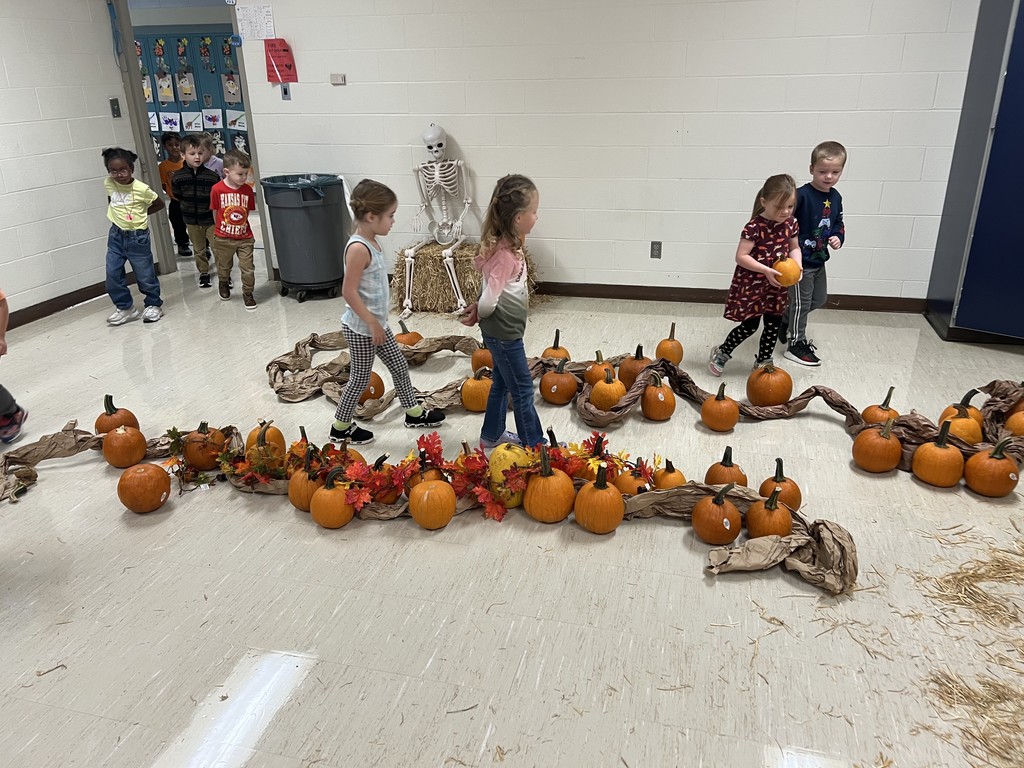 O'Donnell Pumpkin Patch