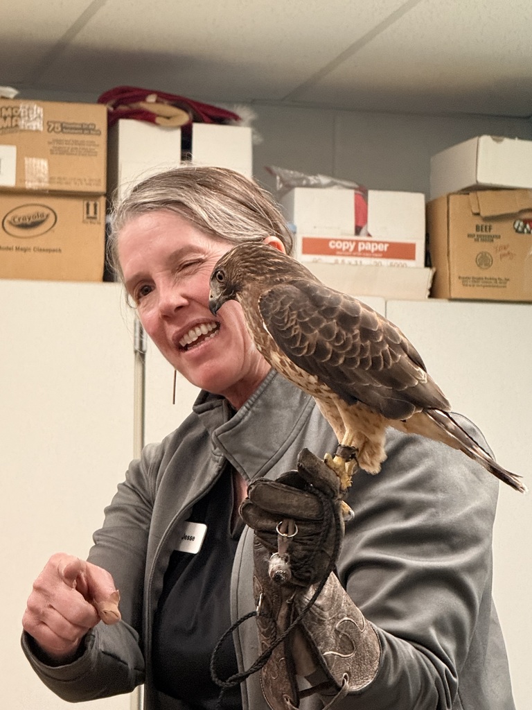Woman holding falcon