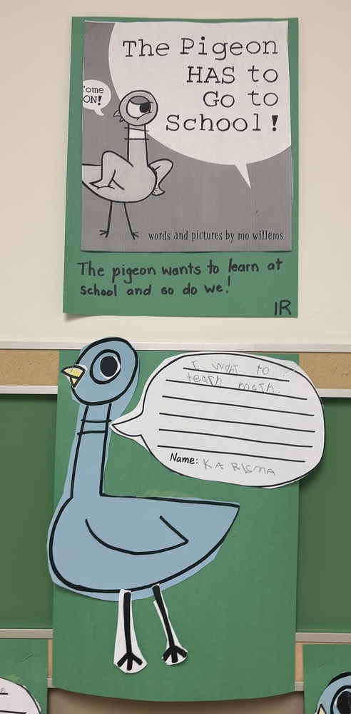 Pigeon