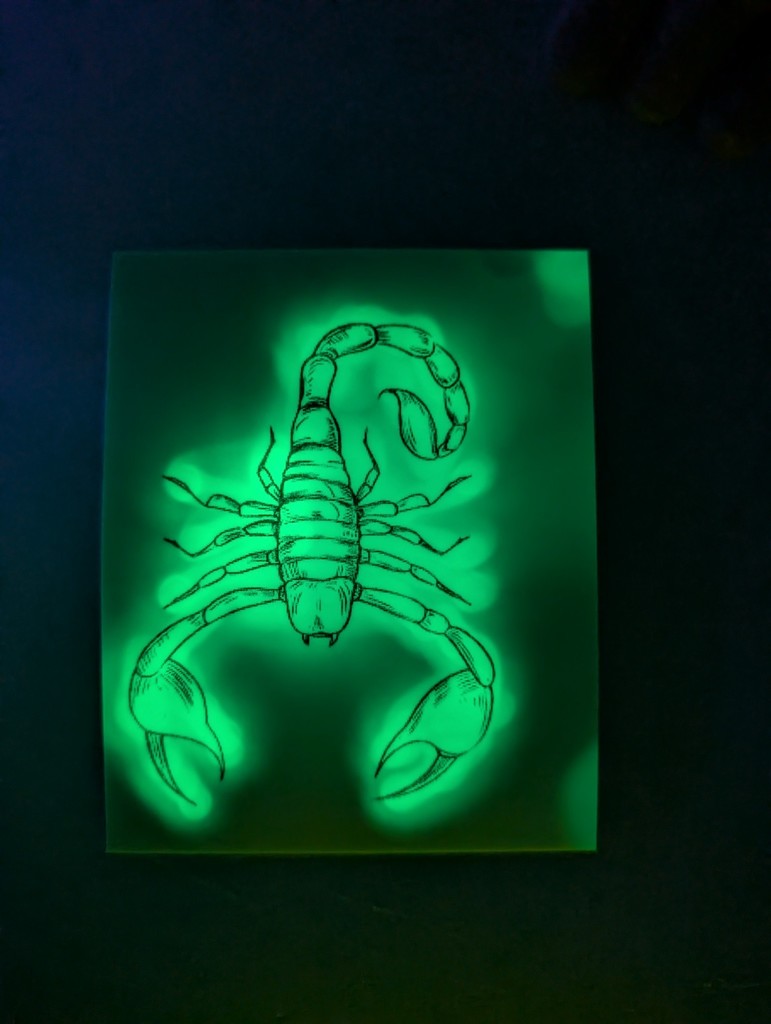 glowing scorpion