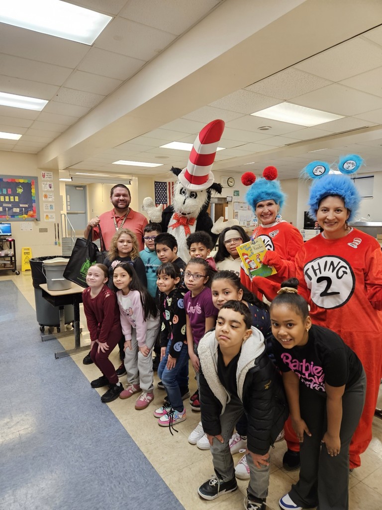 cat in the hat
