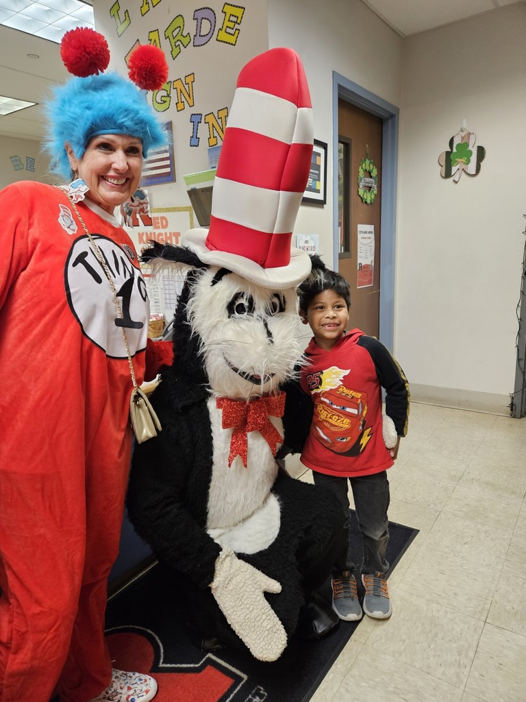 cat in the hat
