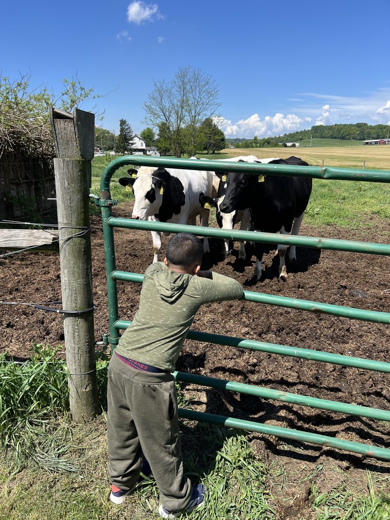 1st - Farm