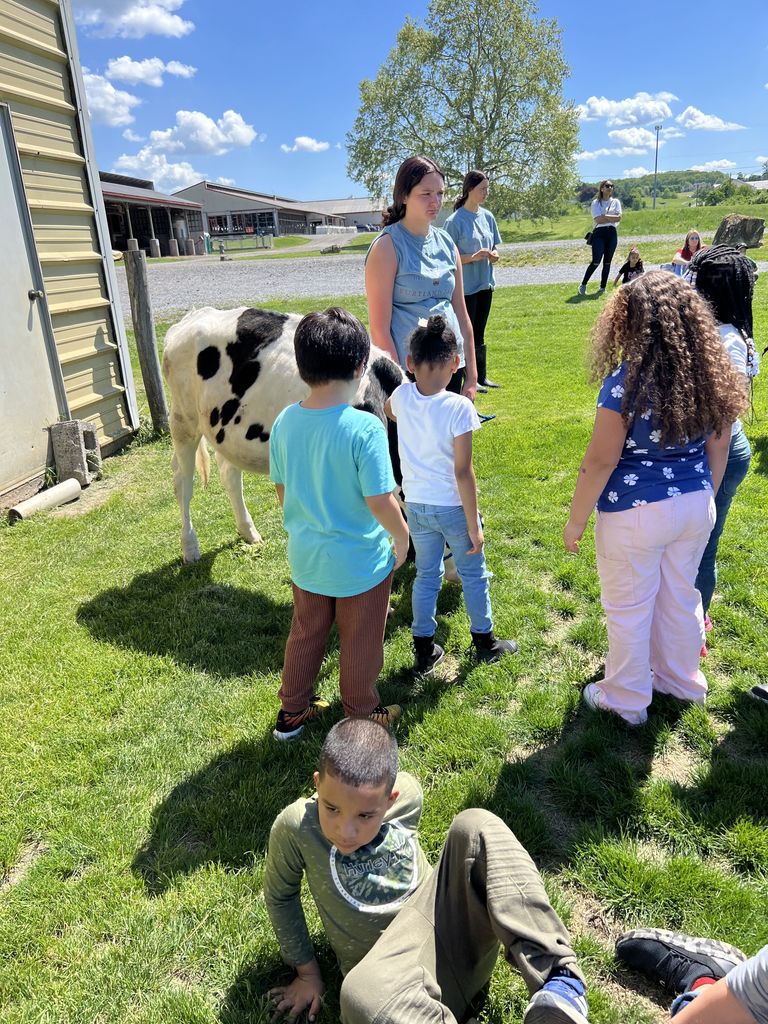 1st - Farm