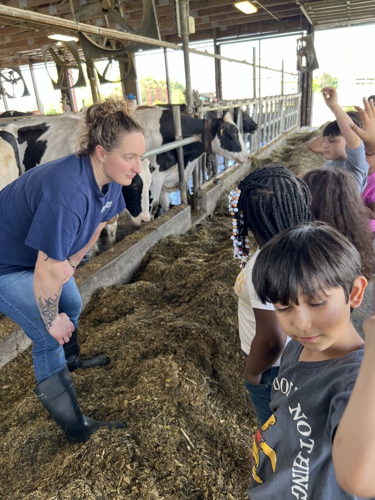 1st - Farm
