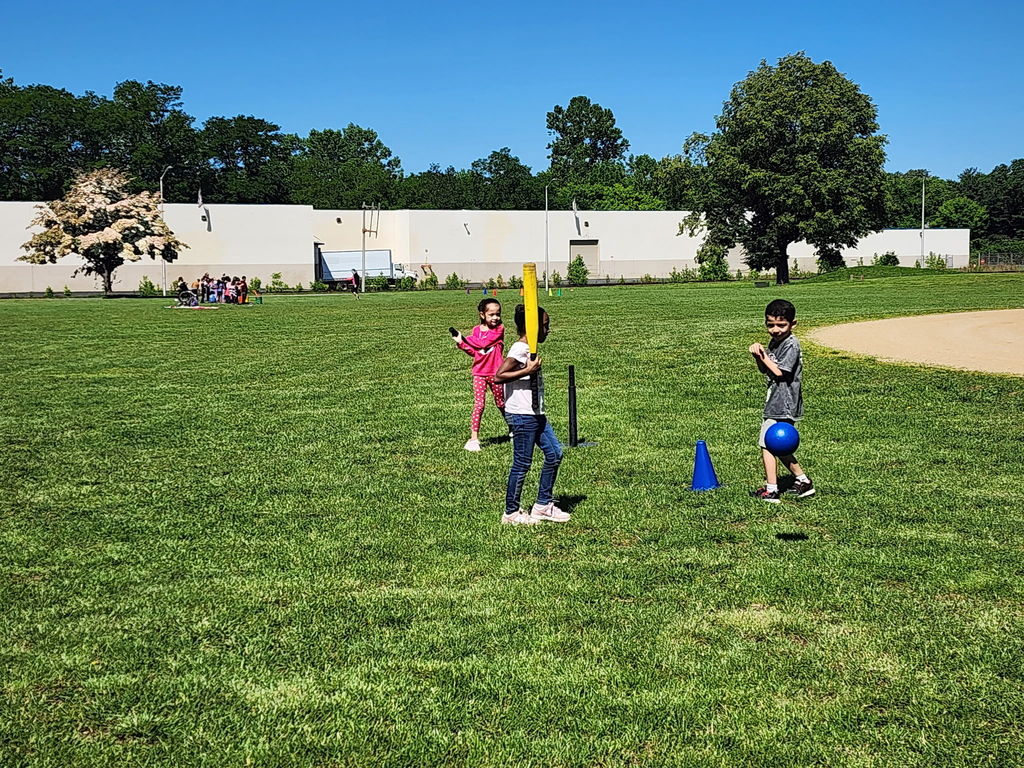 Field Day 