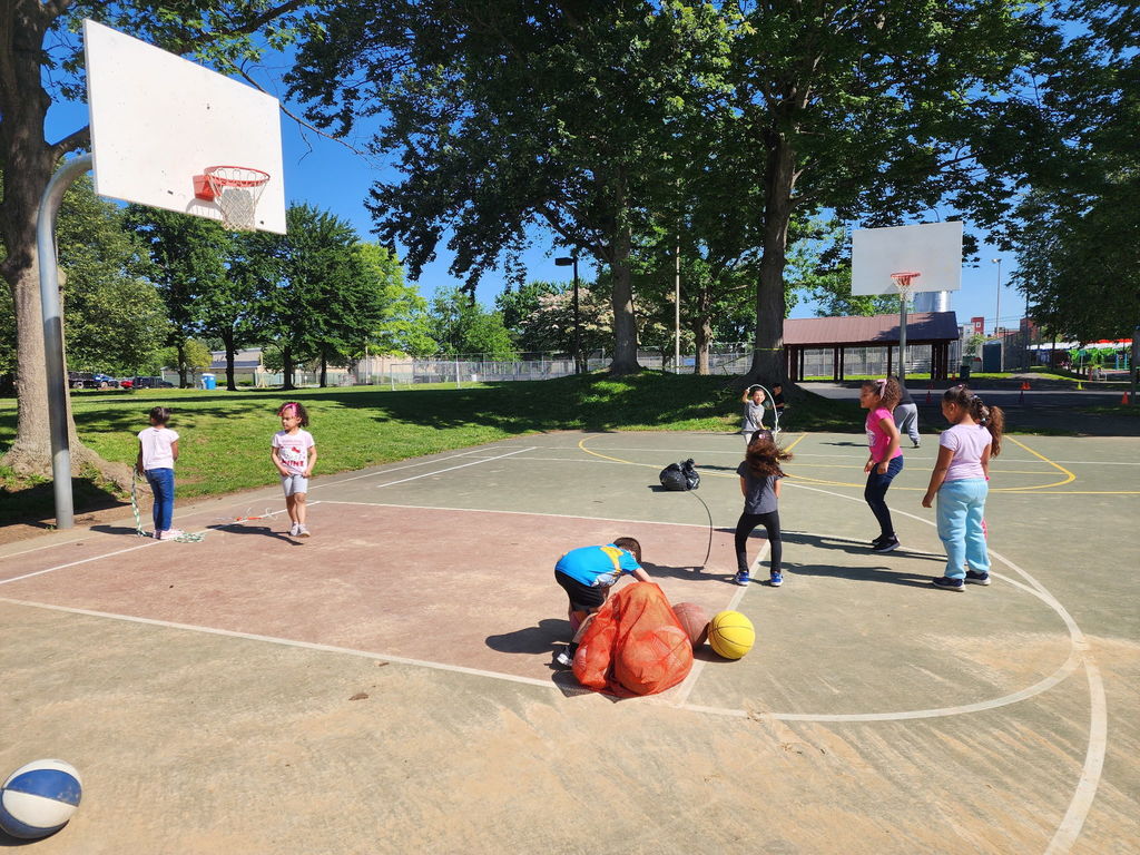 Field Day 