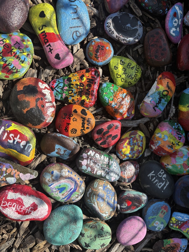 Rocks