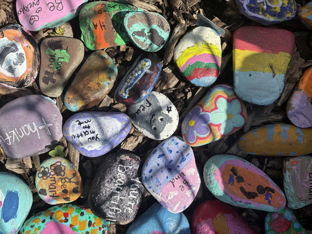 Rocks